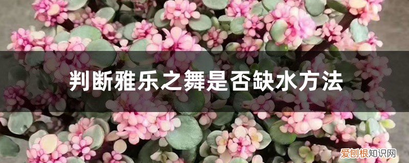 雅乐之舞缺水的表现 判断雅乐之舞是否缺水方法