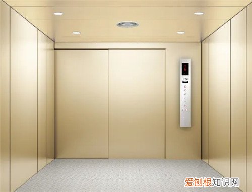 巨人通力电梯排第几名，巨人通力电梯几线品牌
