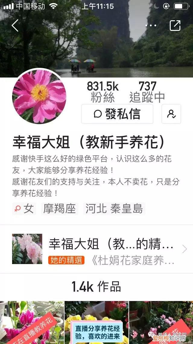 快手挣钱技巧，快手幸福大姐新手养花教学赚钱套路