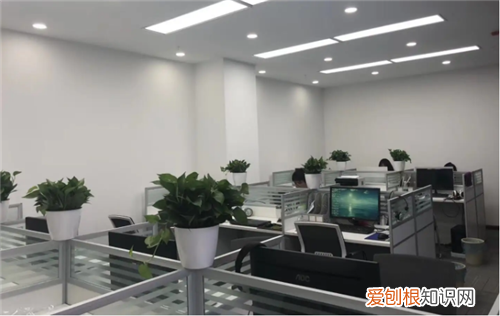 开装修公司需要多少资金，开装修公司需要多少资金五十万够不