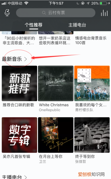 网易云里怎么购买单曲，网易云怎么单独买歌不买专辑