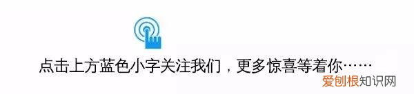 关于小区养宠物的通知,今年我市又将有两部地方性法规出台!养宠物的注意啦!