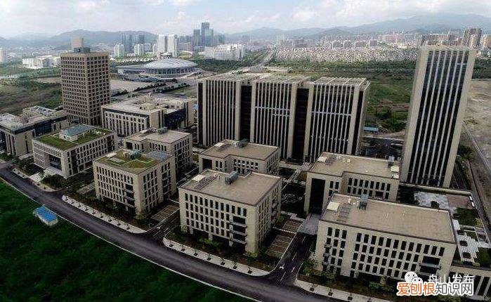 关于小区养宠物的通知,今年我市又将有两部地方性法规出台!养宠物的注意啦!