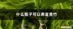 养富贵竹瓶里放多少水合适 什么瓶子可以养富贵竹，瓶子要装多少水