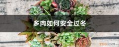 冬天多肉休眠吗 冬天养多肉，一定要避开这个死劫，否则…