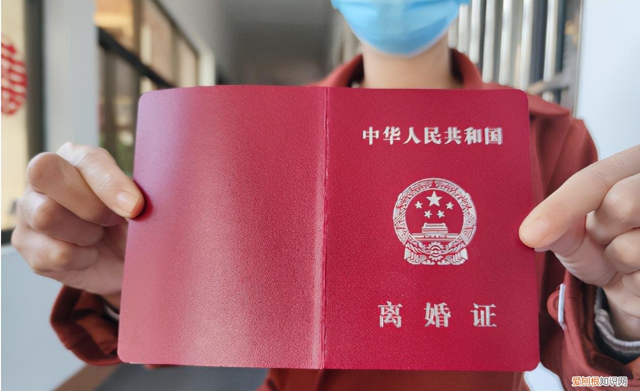 离婚协议不得争夺抚养权，法时观点 |夫妻离婚争夺宠物“抚养权”