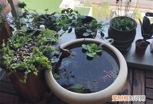 客厅阳台怎么装修好看又实用，客厅阳台怎样装最好看