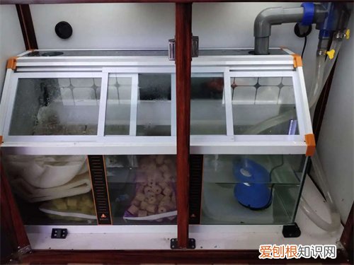 底滤鱼缸原理是什么，底缸过滤鱼缸过滤原理