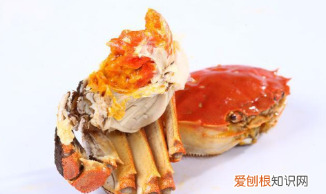 蒸螃蟹是凉水上锅还是热水上锅 螃蟹用什么锅蒸最好吃