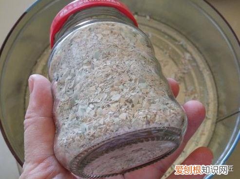 鸡蛋壳可以用来做花肥吗视频，养花“这么”用鸡蛋壳，百分百长虫子，教你正确使用、补肥
