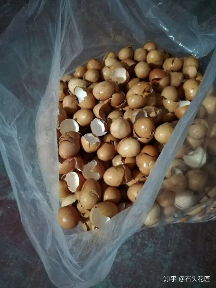 鸡蛋壳可以用来做花肥吗视频，养花“这么”用鸡蛋壳，百分百长虫子，教你正确使用、补肥