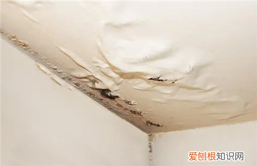 楼上漏水不修可以堵死吗，楼上漏水不修咋办