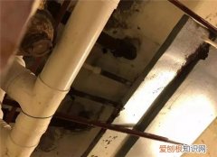 下水主管道堵了是归物业还是业主，单元下水主管道堵了,是归物业还是业主