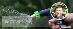 浇花用什么水好啊 浇花用什么水好