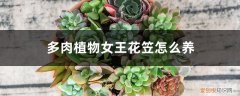 女王花笠可以露养吗 多肉植物女王花笠怎么养