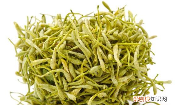 推荐几个刮油偏方 轻松消除脂肪排出多余油份
