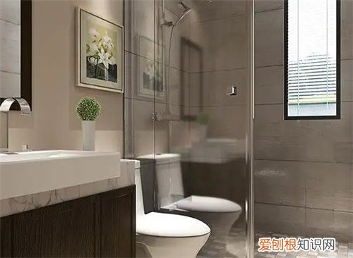 两个卫生间怎么设计最合理，两个平方的卫生间怎么设计