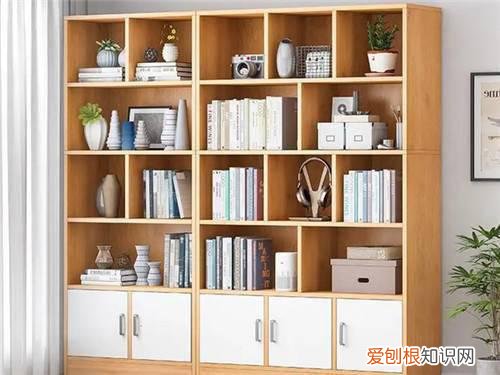 书柜为什么不能放客厅，卧室不能放书柜吗