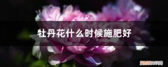 牡丹花啥时候施肥好 牡丹花什么时候施肥好