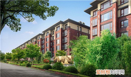 嘉诚新悦物业和绿地什么关系，嘉诚新悦物业好吗