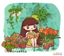 盆栽花卉养护方法，50种常见花卉的养护方法，从此养花不发愁！