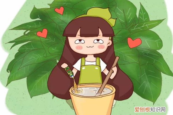 淘米水要稀释多少倍浇花 淘米水加点它，肥效猛增10倍，啥花喝了都疯长！