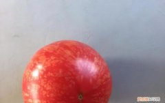 番茄果实着色不均匀，怎么回事？，番茄着色不良