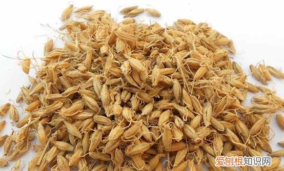 泡脚温暖解乏 泡脚减肥可以加的8种中药