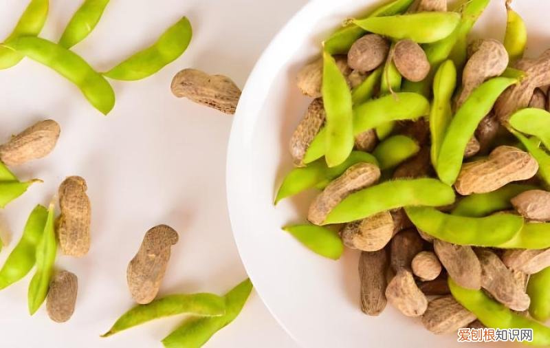 毛豆是不是黄豆？毛豆是不是成熟后就是黄豆？，毛豆成熟之后是黄豆吗