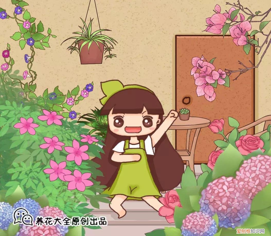 开花多好养的花品种，32种花养护大全，新手也能学的会，一年花开好几茬！