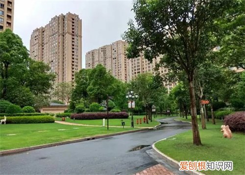 开发商最怕哪个部门，开发商最怕哪个部门知乎