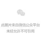 各种家养花 二 让你惊叹的家庭养花奇招