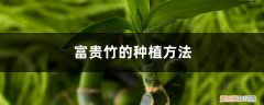富贵竹的种植方法视频 富贵竹的种植方法