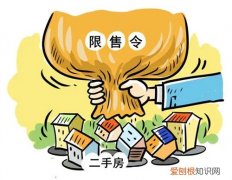 深圳限售政策是什么，深圳限售政策是什么时候