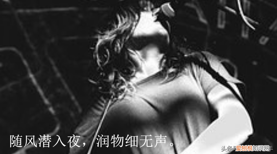 天帝传最新章节免费阅读无弹窗，第975天：宠物及用品文案：亲和力，幸福感和需求