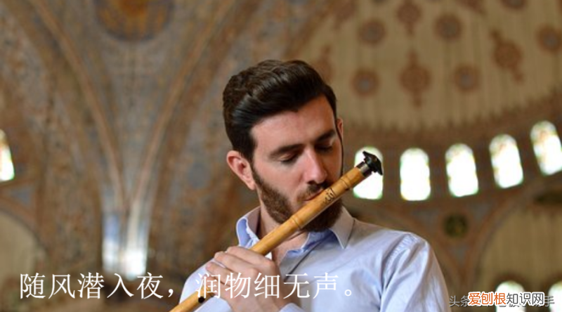 天帝传最新章节免费阅读无弹窗，第975天：宠物及用品文案：亲和力，幸福感和需求