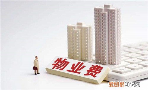 物业最怕业主查他什么,小区物业主任最怕查什么