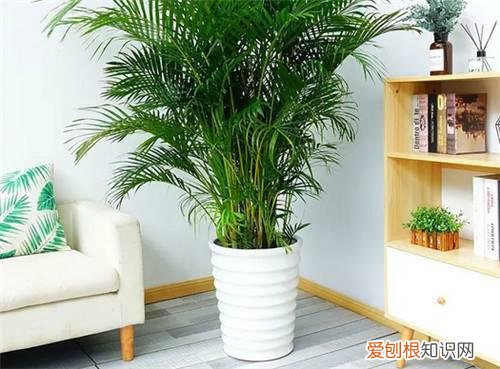 甲醛释放周期是多久，甲醛释放的时间