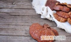 灵芝越老越值钱吗 灵芝越老功效越大吗