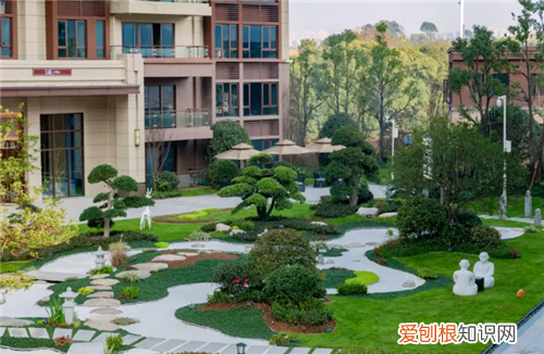 一般什么人买碧桂园的房子,碧桂园的房子,到底值不值得购买?