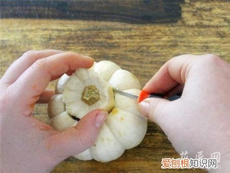 如何在南瓜里种植多肉植物视频 如何在南瓜里种植多肉植物