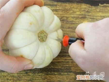 如何在南瓜里种植多肉植物视频 如何在南瓜里种植多肉植物
