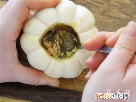 如何在南瓜里种植多肉植物视频 如何在南瓜里种植多肉植物