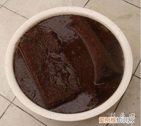 椰砖有啥用 椰砖有什么用处
