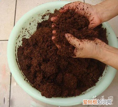 椰砖有啥用 椰砖有什么用处