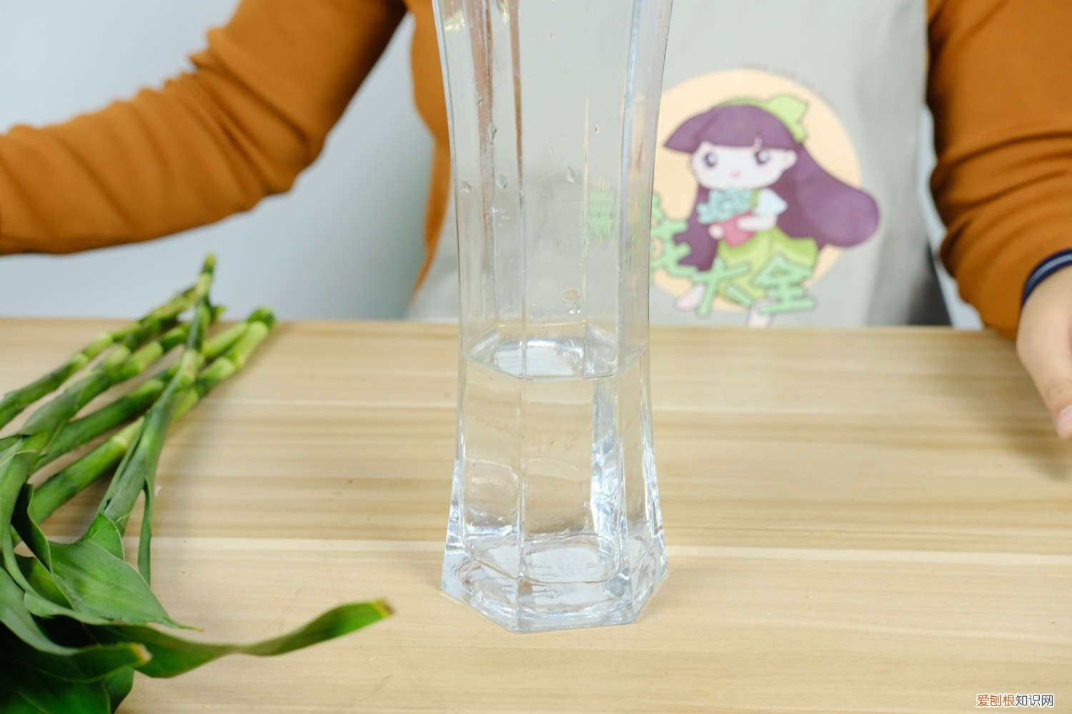 如何养富贵竹水培 如何养富贵竹