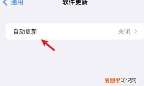 怎么关闭苹果手机的自动更新app功能