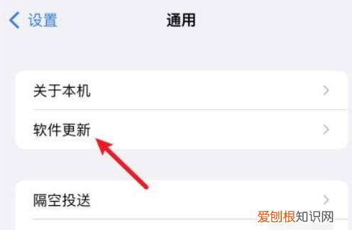 怎么关闭苹果手机的自动更新app功能