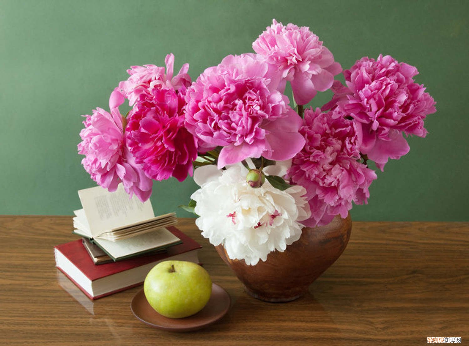 芍药种植方法和时间是农历还是阳历 芍药种植方法和时间