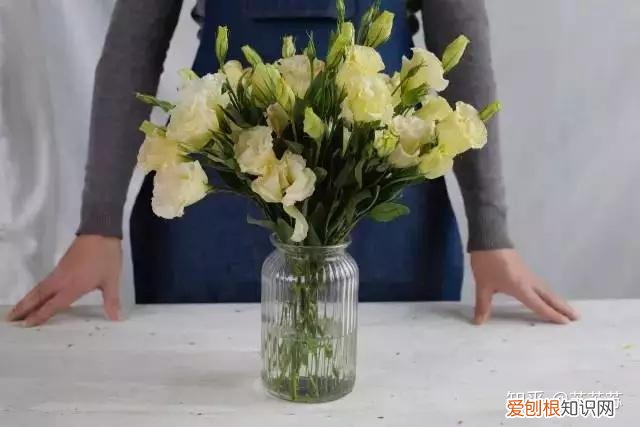 草花盆栽技术及常规养护要点图片，常用花材养护技巧